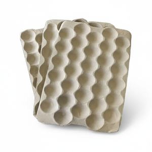 Barquettes pour fruits en fibre de canne à sucre biodégradable, alternative sans plastique, emballage agricole compostable, protection en fibre moulée - Product Image 3