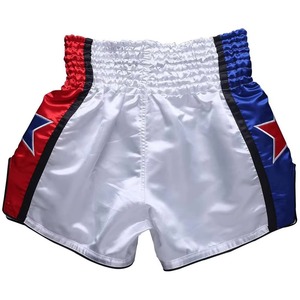 Shorts de Muay Thai pour hommes, blancs, en satin, avec logo brodé sur le devant, taille mi-haute, élastiques, respirants, écologiques, séchage rapide - Product Image 2