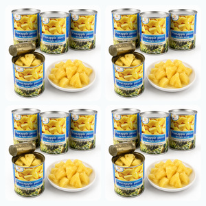 Hecho en Vietnam, los Más Vendidos, Certificados por ISO, Deliciosos Bocaditos de Piña en Almíbar, Empaque Personalizado - Product Image 4