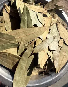 Hoja de Laurel India (Tejpata) Cinnamomum Tamal Especias Enteras - Sabor a Canela Suave Ampliamente Utilizado en la Cocina India para un Aroma Distintivo - Product Image 3