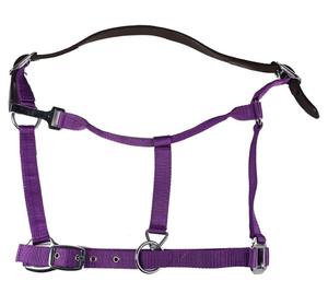 สายจูงม้าไนลอนสีม่วงพร้อมอุปกรณ์โลหะ ปรับได้สำหรับม้าขนาดเต็ม - Product Image 3