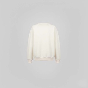 Sudadera de invierno beige de chenilla con estampado de parches, estilo universitario, para mujer, extragrande, de algodón grueso, forro polar, lisa, de alta calidad - Product Image 3