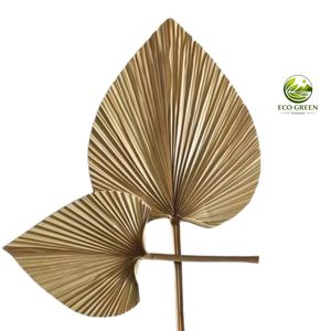 Éventail ovale en feuille de bambou écologique du Vietnam, fait main, moderne, pour décoration de mariage et cadeau, taille personnalisable - Product Image 1