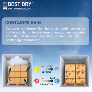 Mejor Desecante Absorbente para Contenedores Secos 1kg |   Control Superior de Humedad y Prevención de Moho |   Hecho en Bangladesh - Product Image 2