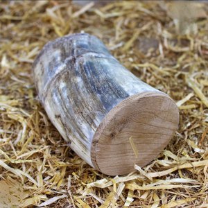 Chope à bière en corne naturelle la plus vendue, style vintage, personnalisable pour la bière et le vin, style viking, au meilleur prix - Product Image 6