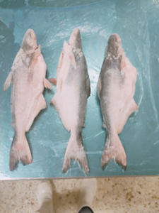 Pangasius Congelado de Vietnam, Pescado Entero de Primera Calidad, 30-45cm de Largo, Congelado en Bloque IQF, Tamaños Personalizados, Etiqueta Grado A/B, Pieza - Product Image 4