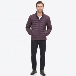 Blouson matelassé violet pour homme, col montant, fermeture éclair, coupe-vent, décontracté, automne, extérieur polyester, coupe ajustée, longueur standard 2026 - Product Image 2