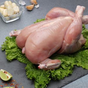 ไก่แช่แข็งฮาลาลทั้งตัว กระบวนการแช่แข็งแบบ IQF บรรจุภัณฑ์สุญญากาศ คุณภาพสูง น้ำหนัก 25 กก. ขายส่ง ราคาถูกที่สุด - Product Image 6
