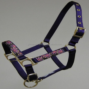 Colliers réglables en Nylon pour cheval, boucles de haute qualité avec ruban coloré, 1 pièce, vente en gros - Product Image 6