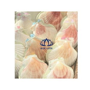 เปลือกหอยปูเสฉวนทำมือแบบยั่งยืน สีเหลือง ขาว เขียว เงิน ขายดีที่สุด จำหน่ายจำนวนมาก ตกแต่งห้อง ผลิตในเวียดนาม - Product Image 1