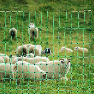 Rete Elettrica per Recinzione Animale 42 pollici x 164 piedi, Rete in PE con Pali a Doppia Punta, Utilitaria e Portatile - Product Image 6