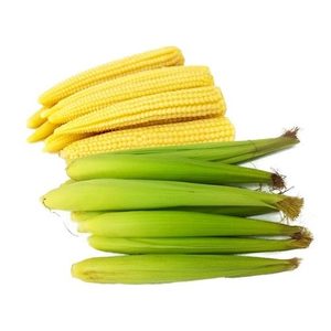2025 NOUVELLE ARRIVÉE FROZEN BABY CORN - FARM FRESH IQF VARIÉTÉ DE FOURNISSEUR DE CONFIANCE - Product Image 1