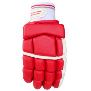 Nuevos guantes de bateo de críquet cómodos, guantes de críquet de calidad profesional, personaliza el logotipo, tamaño y color, guantes de críquet - Product Image 3