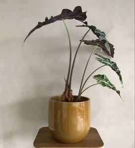 Juego de Macetas de Cerámica Esmaltada Artesanal con Acabado Rústico, Diseño Duradero y Elegante para Decoración de Plantas en Interiores y Exteriores - Product Image 3