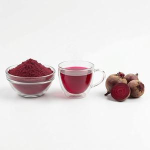 Premium Quality Beetroot Powder Natural Food Grade Bulk Wholesale Supplier Manufacturer and Exporter from India - Product Image 3
