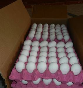 Œufs de poule de table biologiques purs et naturels de haute qualité, frais, bruns et blancs, prêts à consommer, taille XL, directement de la ferme - Product Image 4