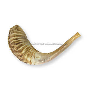 Meilleures ventes Authentique corne de Kudu Shofar israélien demi-poli casher sculpté ange Style religieux - Product Image 1