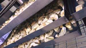 Rodajas de Durian Liofilizadas 100% Naturales, Listas para Comer, Sabor Dulce, a Granel, Fabricante Vietnamita, Calidad de Exportación - Product Image 3