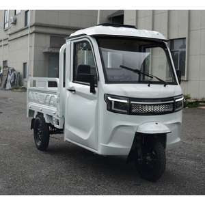 Triciclo Eléctrico con Cabina Cerrada, Volante, Certificado COC EEC, Transporte Puerta a Puerta desde Almacén Europeo - Product Image 3