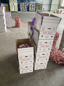 กระเทียมสดเวียดนามเกรดสูงอายุการเก็บรักษา1ปี (WA + 84 36 680 8683) - Product Image 6