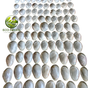 Bandeja de tocador de lujo hecha a mano con concha de nácar, organizador de joyas de concha de ostra natural para baño, dormitorio y decoración del hogar - Product Image 5
