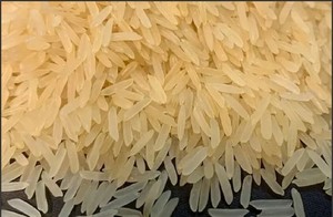 ข้าวบาสมาติแท้ 100% เมล็ดยาว ชาร์บาติ โกลเด้น เซลลา สำหรับอาหารอินเดีย แข็งแรง ทนทาน เหมาะสำหรับการจัดหาจำนวนมาก - Product Image 5