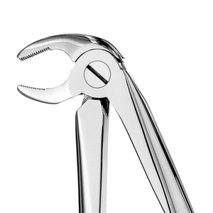 Forceps d'extraction dentaire chirurgical à 13 dents crantées pour premolaires inférieurs, en acier inoxydable, instrument de chirurgie buccale - Product Image 6