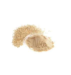 Lécithine de Soja en Poudre de Qualité Supérieure Prête à l'Expédition, Ingrédient Alimentaire en Gros, Vente en Vrac, Qualité Premium, Fournisseur OEM - Product Image 2