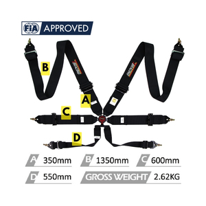 ECO-A FIA 8853 2016 Racing Harness Seat Belt With 3 Inch Webbing And Aluminum Adjusters For OEM ODM Projects Supply - Product Image 4