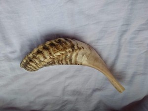 Décorations en corne de bélier, corne de bélier naturelle, corne de bélier faite à la main, artisanat écologique 100% naturel, arts en corne de bélier - Product Image 5