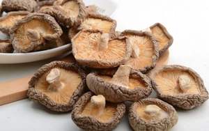 DRIED SHITAKE <b>MUSHROOMS</b> FROM VIETNAM WITH HIGH NUTRITION and GOOD PRICE - Product Image 6