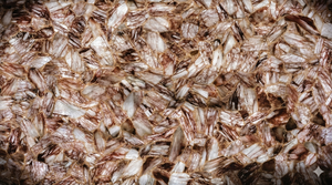 Losas de hematita natural, losas de hematita pulida, losas de hematita en bruto, losas de cristal de hematita a granel - Product Image 3