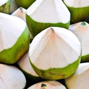 มะพร้าวเพชรพรีเมี่ยมจากเวียดนามที่สดใหม่พร้อมรสชาติหวานธรรมชาติปอกเปลือกสินค้าเกษตร - Product Image 4