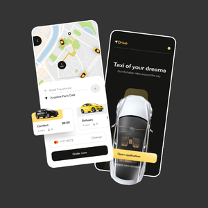 Taxi App <b>Development</b> Services Company| Create Your Own Taxi Booking App by Protolabz EServices - Product Image 2