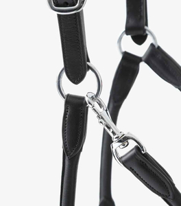 Licol de dressage robuste et pratique pour le travail agricole, avec ajustement confortable, couleurs et logo personnalisables, service OEM, tailles personnalisables - Product Image 4