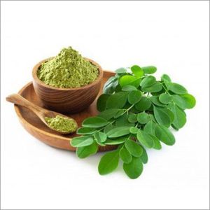 Latest Stock Arrival <b>Best</b> in Selling 100% Pure Food Grade Organically Grown Moringa Leaf Powder Available in Bulk Quantity - Product Image 1