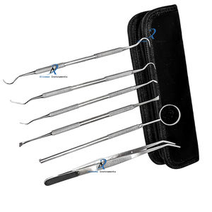 Kit de Limpieza Dental de 6 Piezas con Espejo, Palillo, Sonda, Pinzas, Juego de Herramientas Profesionales para el Cuidado Bucal para Uso en el Hogar y la Clínica - Product Image 2