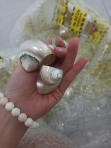 Servilleteros de algas marinas de alta calidad, decoración de mesa rústica tejida a mano para Banquete de boda, proveedor al por mayor de Vietnam - Product Image 4