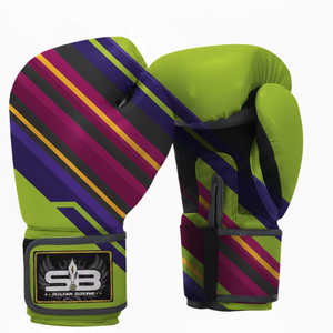 Équipement de boxe de haute qualité - Product Image 1