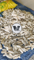 Os de Seiche Séché de Haute Qualité Blanc Éclatant 20-25cm, Os de Sepia Taillés pour Reptiles et Tortues, Source de Calcium en Vrac