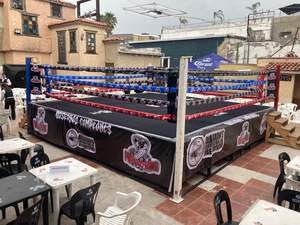 Cubierta de Lona para Ring de Boxeo IRSA SPORTS Personalizada, Resistente, Modelo Rexion/Vinilo para Piso IRSA-254801, Equipo de Gimnasio OEM - Product Image 2