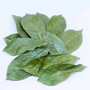 Premium Dried Soursop Graviola Leaves Loose Leaf Herbal <b>Tea</b> Natural Plant Material Bulk Packaging Vietnam Export - Product Image 2