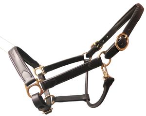 Haute qualité Style anglais réglable anatomique en cuir cheval licou raccords en laiton écologique Durable taille personnalisable couleur - Product Image 1