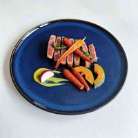 Assiettes plates en porcelaine bleue pour restaurant, vaisselle en céramique résistante aux rayures