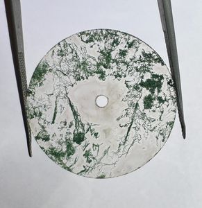 Esfera de Reloj de Ágata Musgosa Natural, 28.50mm, Verde/Blanco, 1mm de Grosor, Estilo Clásico, Elegante, Vintage, de Lujo, Orificio Central de 2mm, para Relojes - Product Image 3
