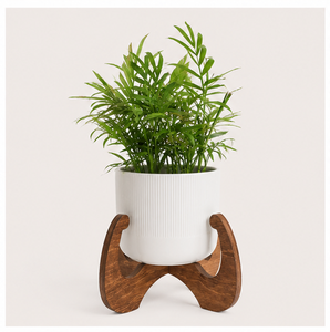 Soporte de Madera Creativo y de Calidad para Plantas, Minimalista, Decorativo para Interiores, para Sala de Estar y Oficina, Precio Accesible - Product Image 1
