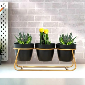 Macetas Metálicas Hechas a Mano para Jardín, Artículos Decorativos Disponibles a Precio de Mayoreo de un Fabricante Indio - Product Image 4