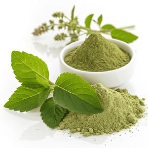 Auténtico polvo de hojas de Tulsi directamente de proveedores líderes con calidad inigualable y el mejor precio - Product Image 3