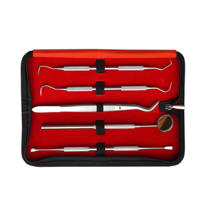 5 Pcs Dental <b>Cleaning</b> <b>Tools</b> Set Stainless Steel Plaque Remover <b>Teeth</b> Hygiene Kit Professional Oral Care Instrument Set - Product Image 4