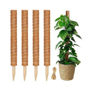 Piquets en fibre de coco de qualité supérieure pour projets paysagers intérieurs haut de gamme et fournitures décoratives pour plantes grimpantes - Product Image 1
